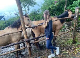 Pferde retten-Helft uns, Pferden in Guatemala eine zweite Chance zu geben! 🐴❤️