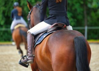 Reithose Damen: Komfort und Stil für jeden Reitstil